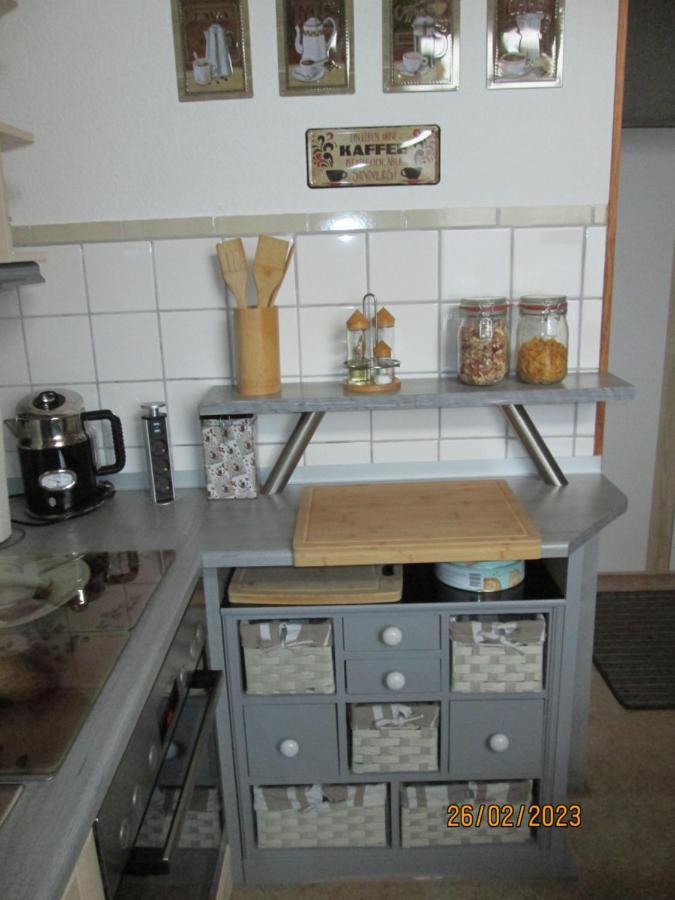 Zentrale-Ruhige Ferienwohnung Reichenbach im Vogtland Esterno foto